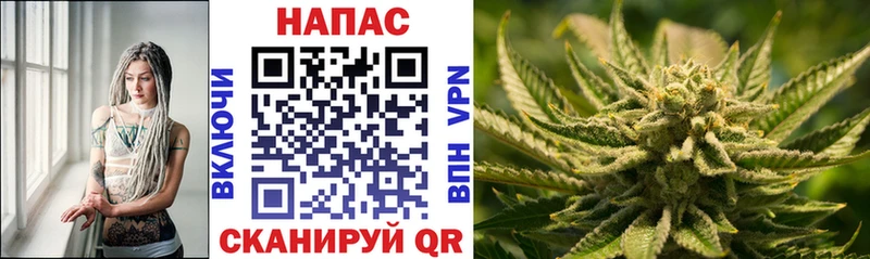 площадка телеграм  Вольск  Шишки марихуана план  где можно купить наркотик 